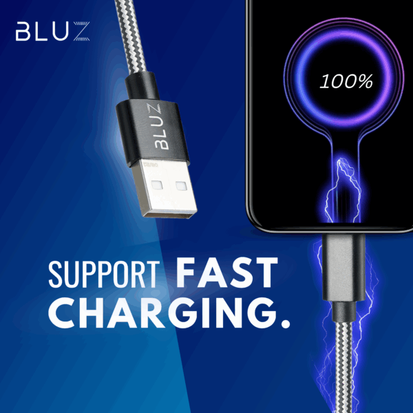 Bluz-A001 High-Speed Data Cable | Fast Charging & Sync | Durable Braided Cable